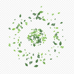 Mint Greenery Organic Vector Transparent 