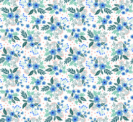Cute floral pattern in the small flower. Seamless vector texture. Elegant template for fashion prints. Printing with small light blue flowers. White background.