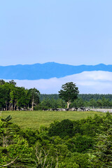 Obraz premium 白金模範牧場の雲海 美瑛