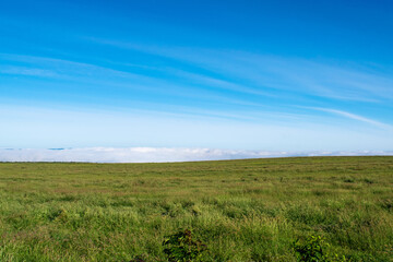 Obraz premium 白金模範牧場の雲海 美瑛