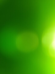 green bokeh background