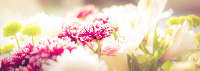 Burgundy flower bouquet isolated on bokeh, blurred background