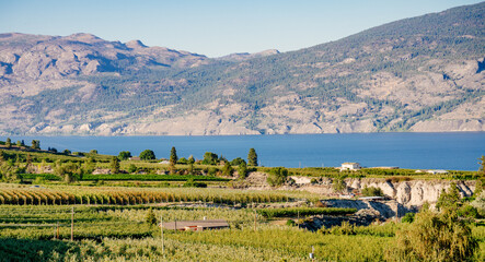 Fototapeta na wymiar Okanagan wine country in Western Canada, British Columbia. Landscape