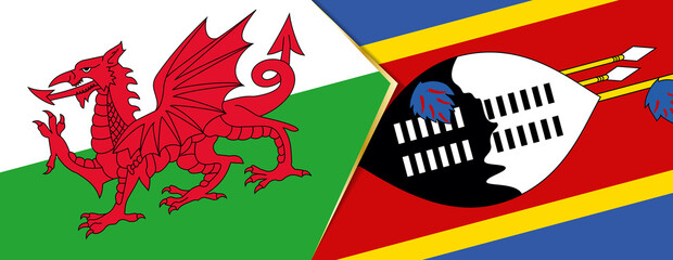 Wales and Swaziland flags, two vector flags.