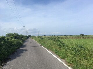 Fototapeta na wymiar 沖縄県黒島の田舎道