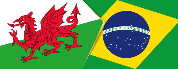 Wales and Brazil flags, two vector flags.