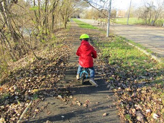 Little boy in red coat and yellow bike helmet riding a leg footed bike on an autumn road in Budapest green area, Hungary
