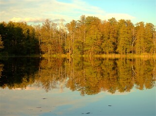 jezior, jesienią, woda, krajobraz,  pora roku, złota,  drzew, 