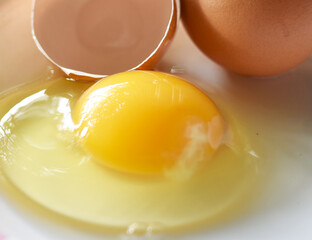 egg yolk in a bowl