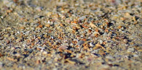 sand texture