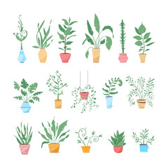 Potting trees, flowerpots hanging, plants in pots set isolated objects