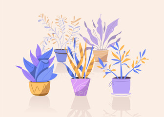 Potting trees, flowerpots hanging, plants in pots set isolated objects