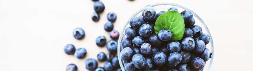  freshly blueberry fruit antioxidant food