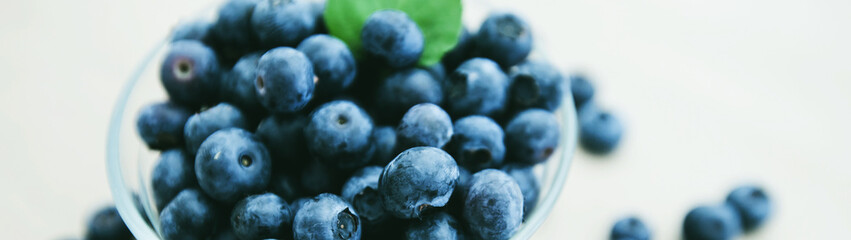  freshly blueberry fruit antioxidant food