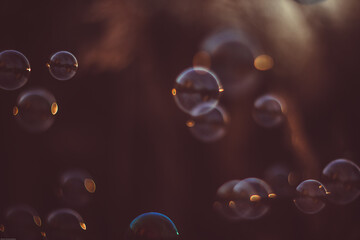 Bubble. Photographed with a Soviet manual lens Helios 40