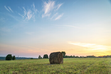 hay bales in the field © Андрей Старцев
