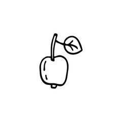 single apple doodle isolated. hand drawn apple in doodle style isolated on white. apple  for  posters, greeting cards,recipe, culinary design. Isolated on white background. Doodle vector illustration.