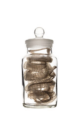 Snakeskin in a glass jar. Snake molting isolated on white background. Alchemy and witchcraft concept.