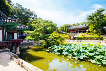 Changdeokgung Palace Secret Garden in South Korea