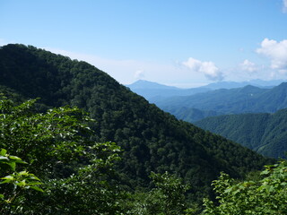 谷川岳の天神尾根の登山道
