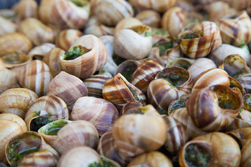 Escargots