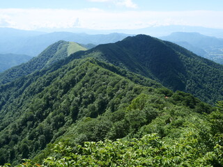 谷川岳の天神尾根の登山道