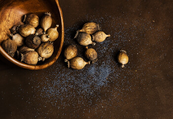 Bowl full of dry poppy pods with scattered poppy seeds