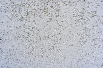 Decorative white wall plaster pattern stylized in bark beetle texture. Texture of the surface of the wall covered with decorative plaster of the woodworm type.