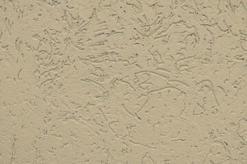 Decorative white wall plaster pattern stylized in bark beetle texture. Texture of the surface of the wall covered with decorative plaster of the woodworm type.