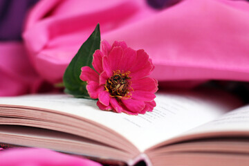 Old books with romantic pink flower