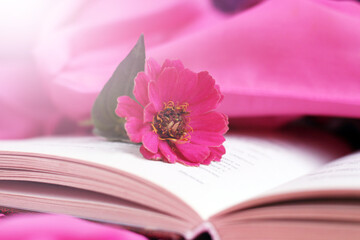 Old books with romantic pink flower