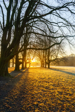Winterlicher Sonnenaufgang