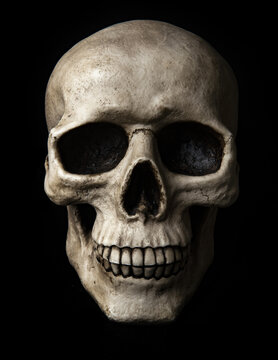Scary human skull on a black background