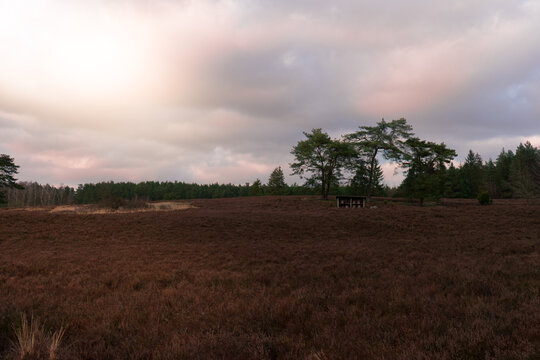 Abendstimmung in der L&uuml;neburger Heide