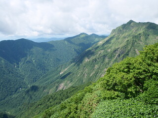 谷川岳の天神尾根の登山道