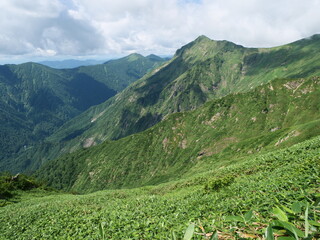 谷川岳の天神尾根の登山道