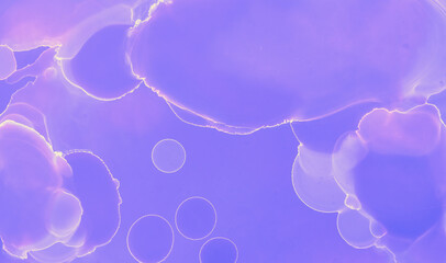 Abstract Flow Template. Pink Contemporary Minimal 