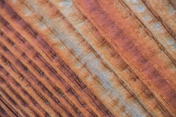 Aged wood - Colourful stained wood