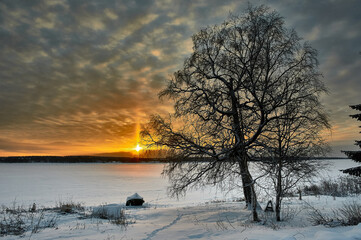 Fototapeta na wymiar Tree on the background of sunset on the river Bank in winter