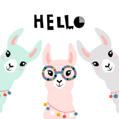 Obraz na płótnie Canvas Llama Alpaca. Hello card. Vector illustration