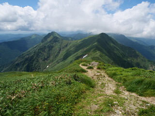 谷川岳の天神尾根の登山道