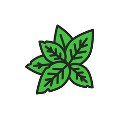 Fresh mint leaves color icon. Vector illustration