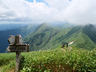 谷川岳の天神尾根の登山道（標識）