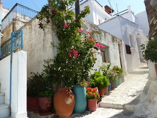 Fototapeta na wymiar Stradina fiorita in un villaggio dell'entroterra dell'isola di Naxos nelle Cicladi in Grecia.