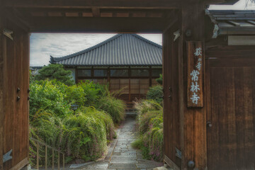 京都、常林寺に咲く萩の花と本堂が見える風景です