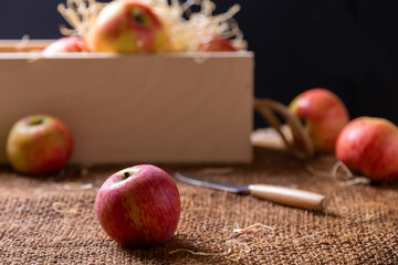 Ripe apples on burlap and in a wooden box on a black background. Rustic style, close-up.