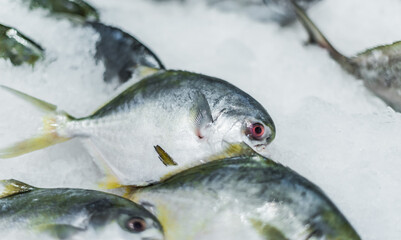 Fish put up for sale at a supermarket stall
