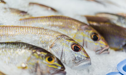 Fish put up for sale at a supermarket stall
