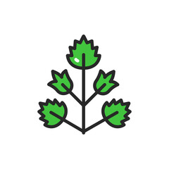Parsley color line icon. Spices product. Vector illustration