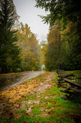 A road covered in fallen autumn leaves near zig zag shaped wooden fence